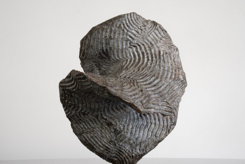 Growing Like Nature I