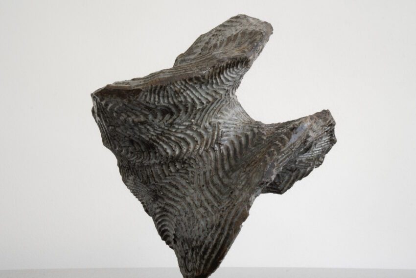 Growing Like Nature I