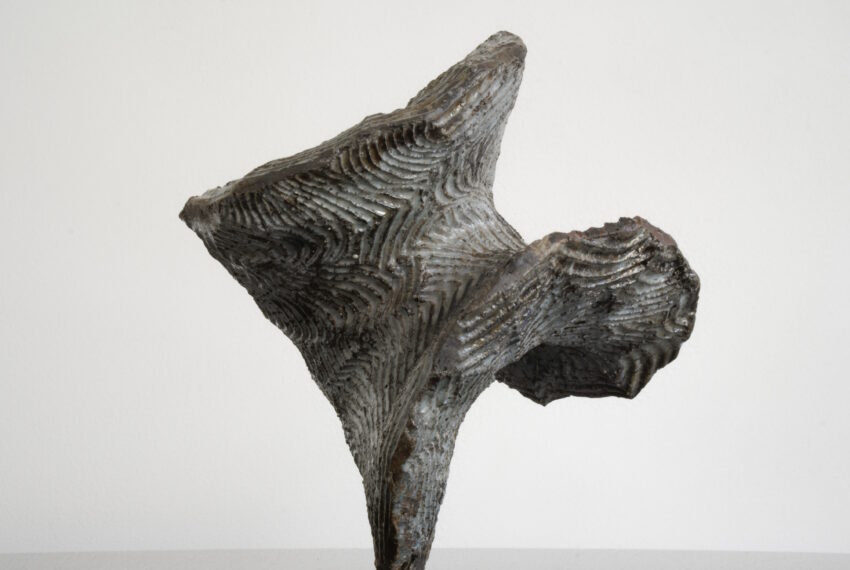 Growing Like Nature I