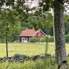 Künstlerische Auszeit in Schweden an Mittsommer