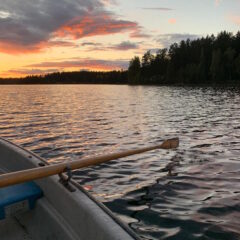 See-in-Schweden