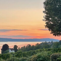 Blick von der Basilika Birnau zum See