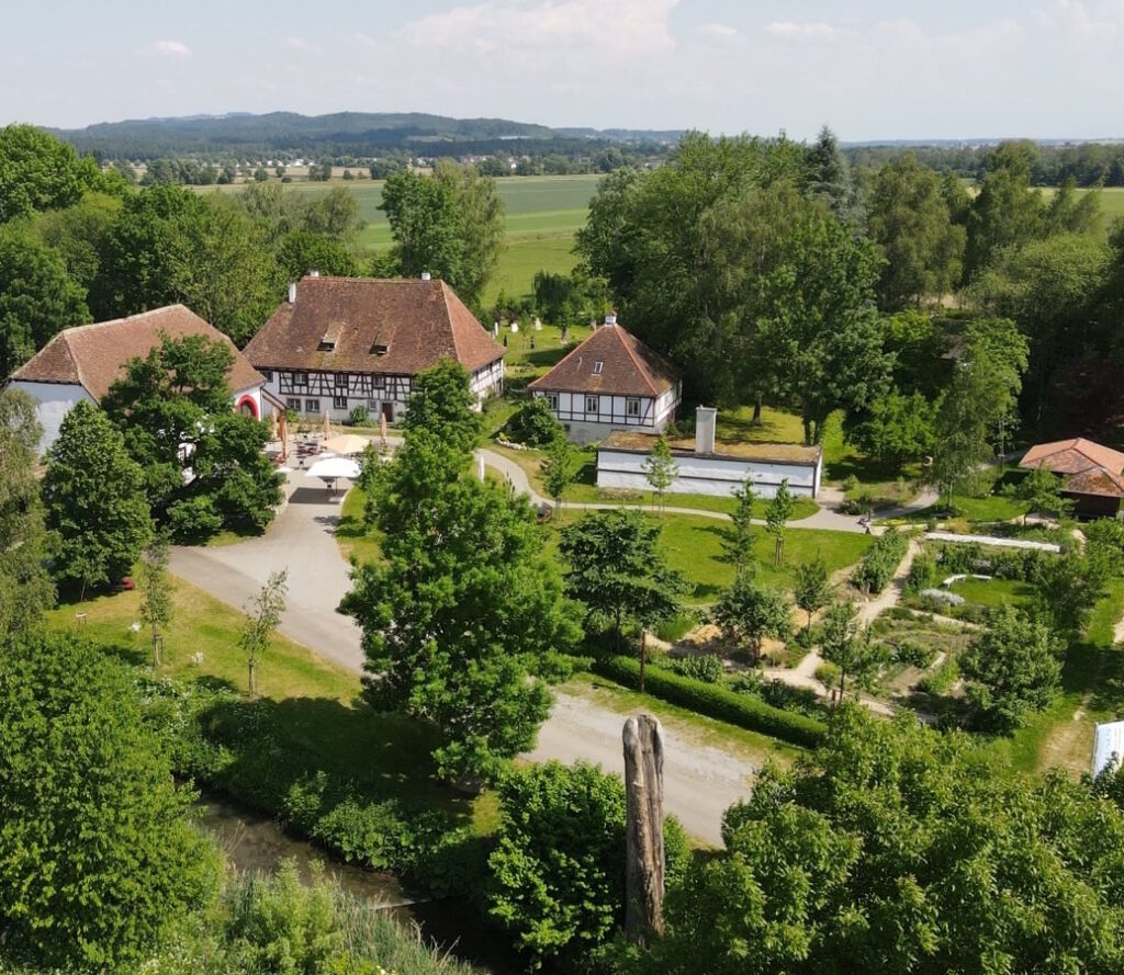 Kreative Tage am Bodensee - Freies Plastizieren und Modellieren mit Ton