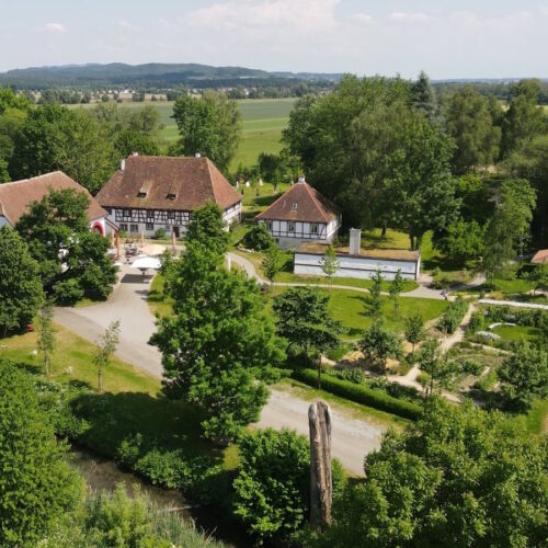 Kreative Tage am Bodensee - Freies Plastizieren und Modellieren mit Ton