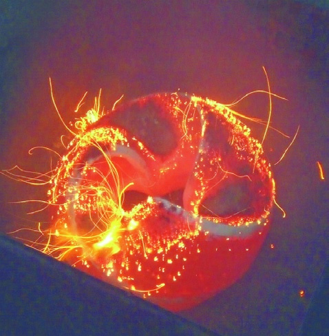 Raku- und Kapselbrand